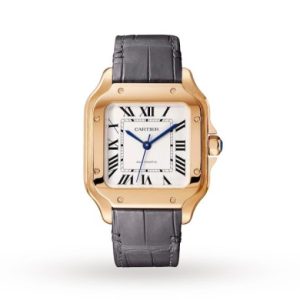 Replica Cartier Santos de Cartier Men Automatic Silver Alligator Watch WGSA0012